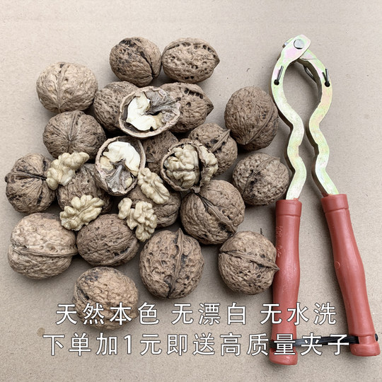 2025 new arrival wild original old tree raw dried walnuts