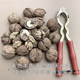 2025 new arrival wild original old tree raw dried walnuts