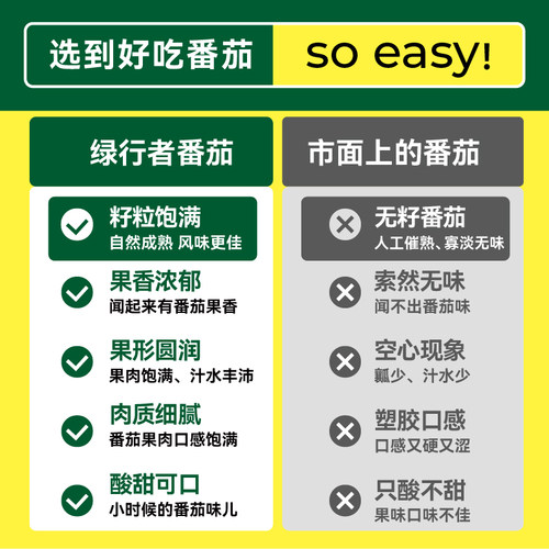 【绿行者】普罗旺斯粉番茄沙瓤西红柿新鲜自然熟当季生吃水果蔬菜 - 图1