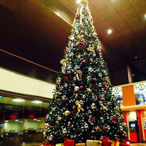 Large Christmas Tree 3 4 5 6 7 8 m Package Mall Hotel Plaza Outdoor Frame Luminous Decorative Pendulum