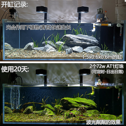 乐迪72w爆藻灯原生鱼溪流缸灯LED水草出苔筒灯灯全光谱植物生长灯 - 图1