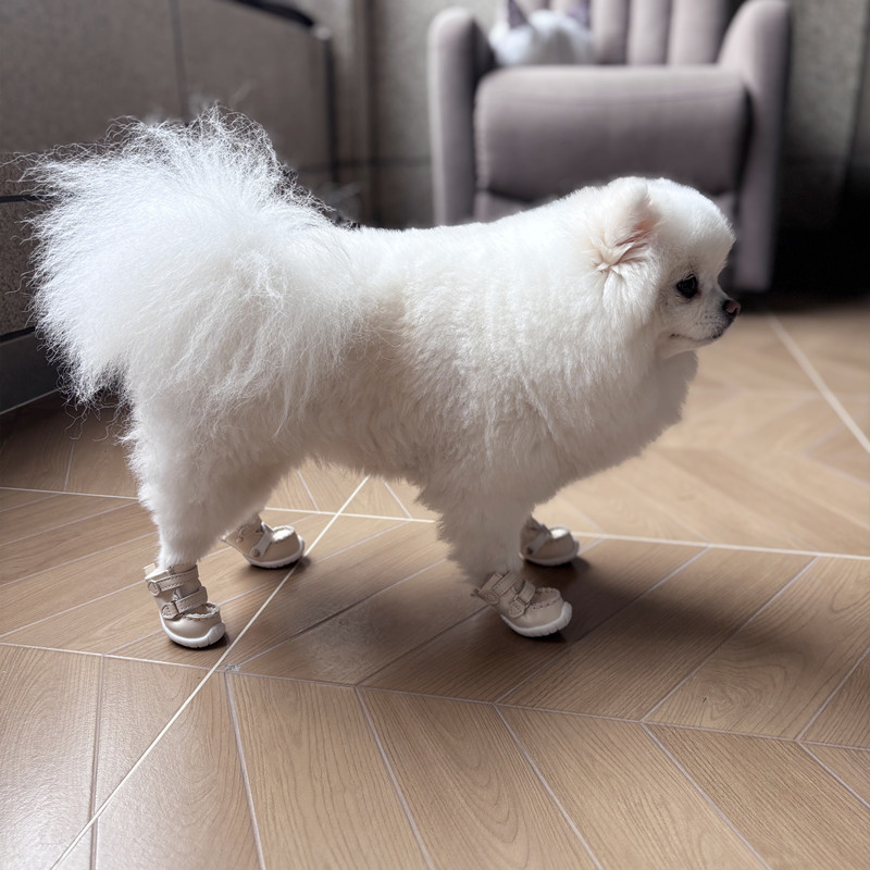 奇可家 DJJ哑光小皮鞋宠物雪地靴狗鞋泰迪比熊狗狗鞋子宠物春秋鞋 - 图2