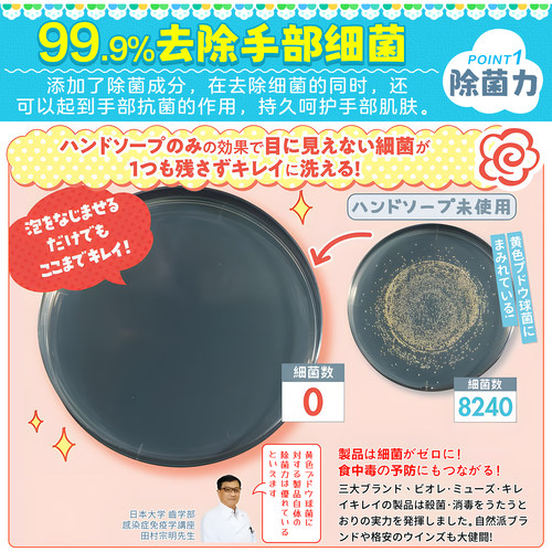 日本狮王KIREI植物洁净泡沫洗手液杀菌消毒婴儿童大量替换补充装 - 图0