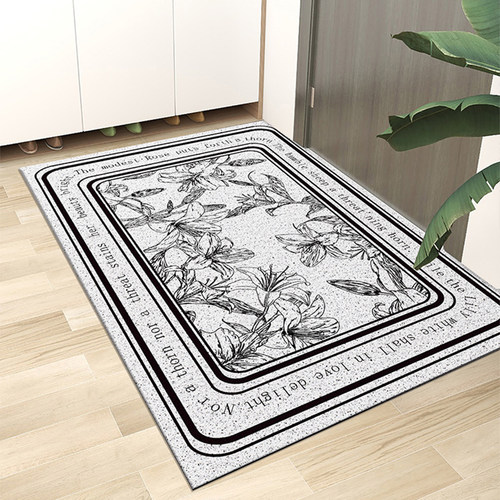 入户门丝圈pvc地垫家用玄关大门口门垫客厅进门脚垫耐脏地毯垫子 - 图0