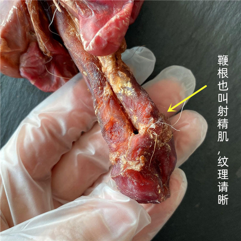 鹿灵子整支成年雄鹿优质男性大鹿鞭 禹图鹿灵子鹿茸枝