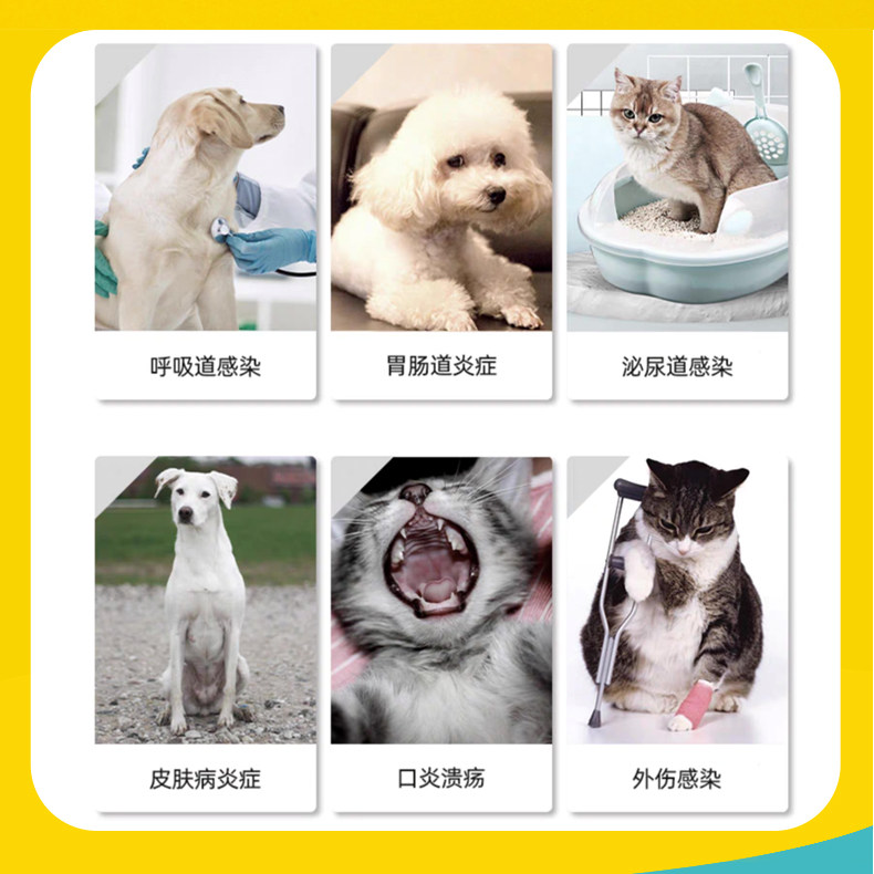 宠物狗猫咪用消炎药头孢羟氨苄脓皮症猫咪感冒外伤消炎药抗菌真菌,淘宝优惠券,粉丝福利购,淘宝优惠卷