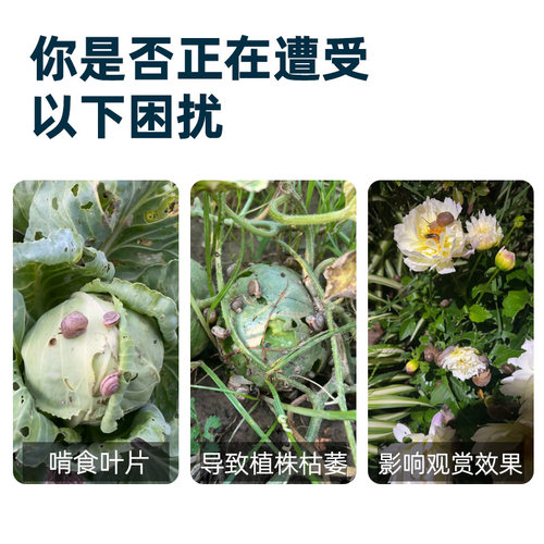 杀蜗牛专用蜗螺净菜地一喷净灭鼻涕虫蛞蝓福寿螺专治蔬菜特效专杀 - 图0