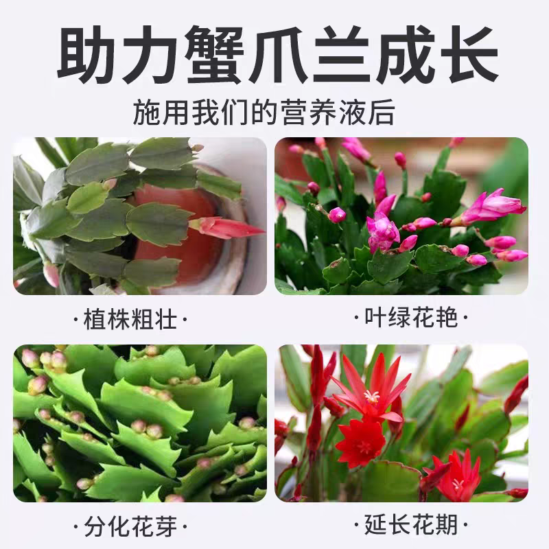 蟹爪兰专用营养液专用肥植物液体肥花肥增肥增绿促开花肥料通用,淘宝优惠券,粉丝福利购,淘宝优惠卷