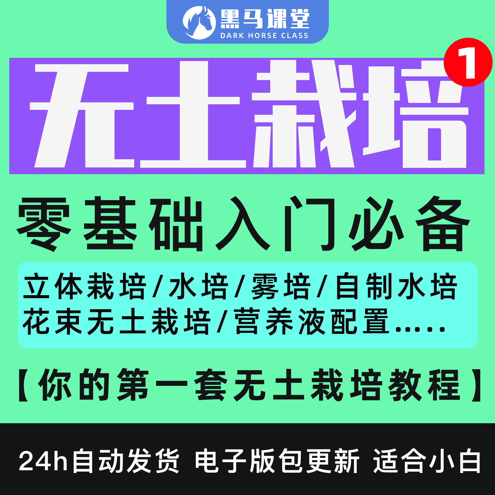 水培蔬菜技术 新人首单立减十元 22年4月 淘宝海外