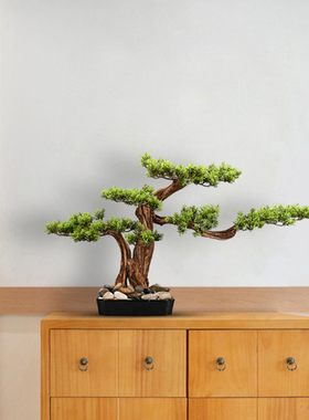 新中式风迎客松植物微景观装饰品