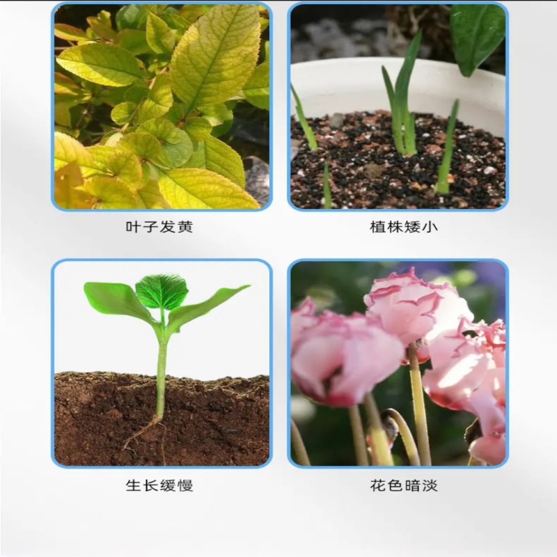 园丁大师家庭园艺植物通用营养液促进根茎生长浓缩原液水溶叶面肥 - 图1