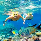 Получить аварийный приказ】 Острова Белого Духа Airlie White Paradise Beach Siredeeing самолеты скоростной лод