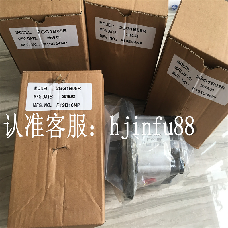 2GG2P24R 2GG2P26R台湾HONOR钰盟油泵原装正品2GG2P28R 2GG2P30R - 图0