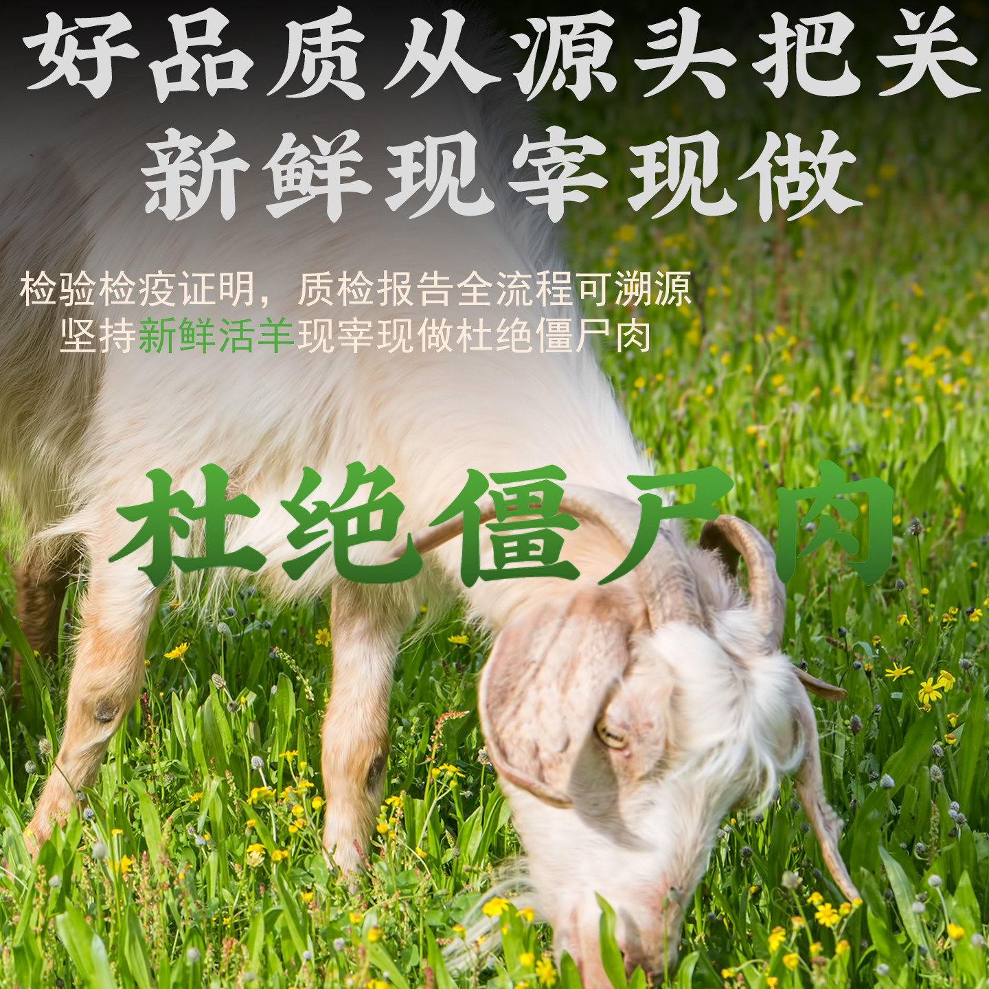 正宗苏州藏书羊糕羊肉开袋即食羊肉下酒菜特产真空羊羔冻熟食年货,淘宝优惠券,粉丝福利购,淘宝优惠卷