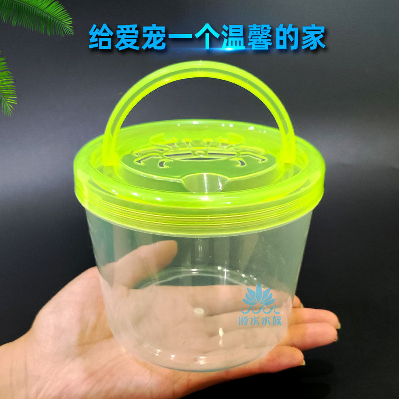 儿童摆摊手提小鱼瓶乌龟瓶透气宠物盒斗鱼杯耐摔蟹桶捞鱼桶乌龟盒,淘宝优惠券,粉丝福利购,淘宝优惠卷
