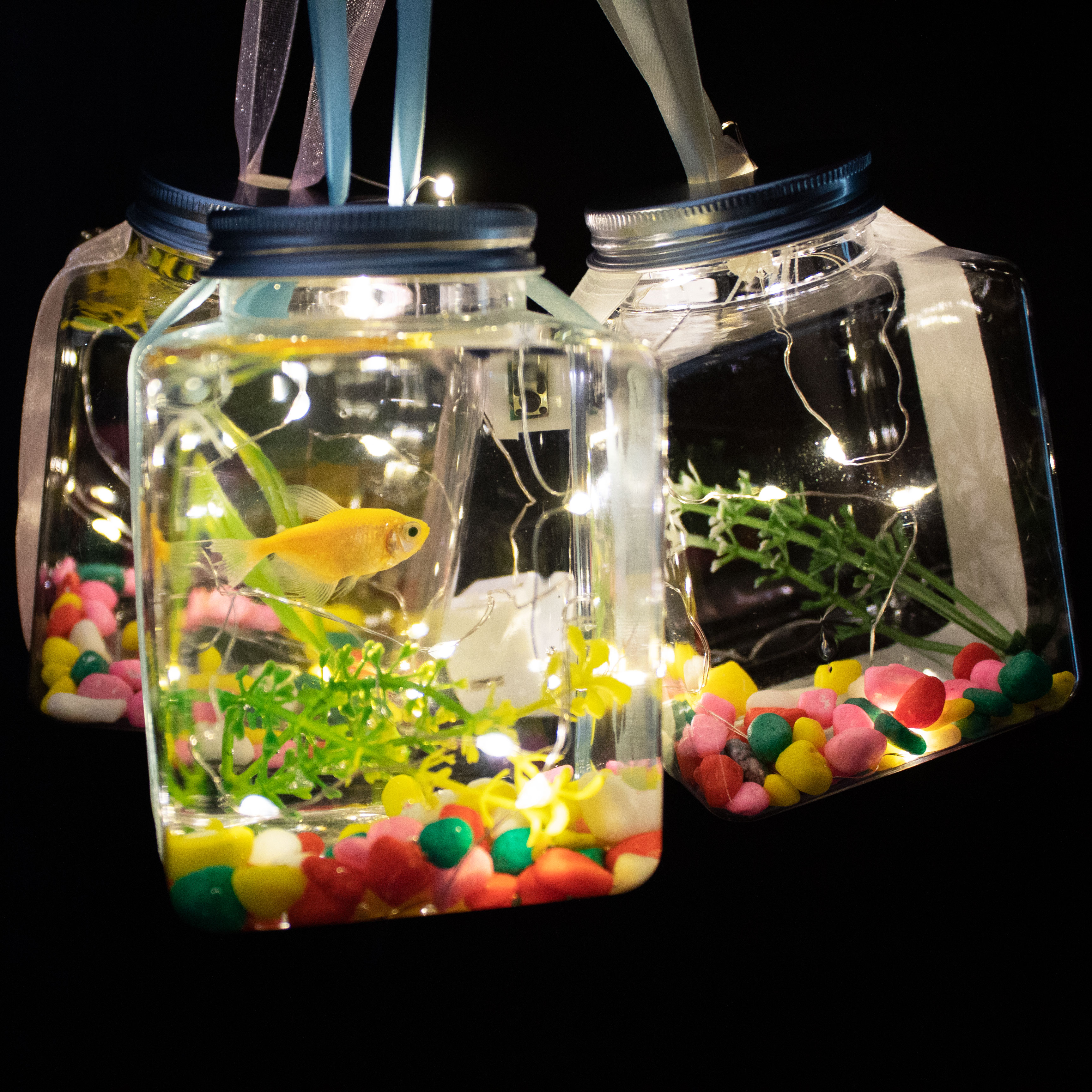 网红发光罐罐鱼瓶发光小鱼瓶小龟瓶塑料瓶龟缸夜市摆摊泡泡鱼材料,淘宝优惠券,粉丝福利购,淘宝优惠卷