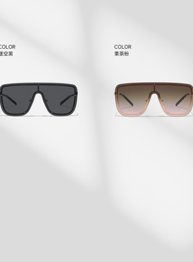 HELMER-复古大框风镜太阳镜网红墨镜女士街拍防紫外线潮流眼镜926