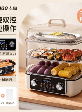 志高电蒸锅多功能家用蒸煮炖大容
