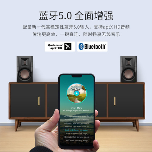 惠威d300电脑音响蓝牙音箱专用台式家用有源书架hifi桌面外接音箱 - 图1