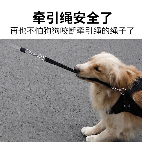 得乐狗狗耐咬缓冲绳高弹力防爆冲防咬断延长狗链尼龙带大狗牵引绳 - 图1