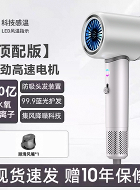 德系电吹风机家用高速大风力负离
