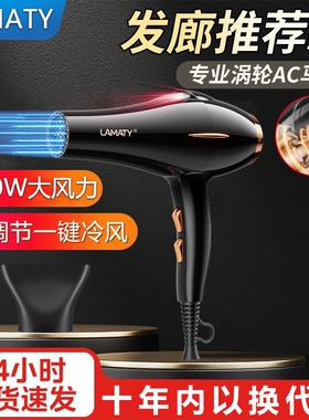 2026新款电吹风机家用发廊大风力