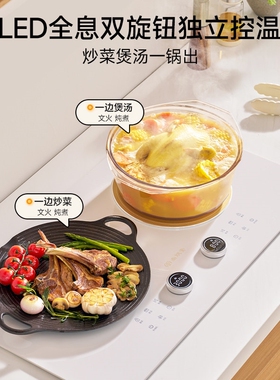 尚朋堂05电磁炉嵌入式双灶家用35