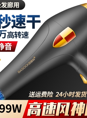 发廊专用超大风力电吹风机理发店