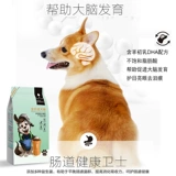 Тедди пудель Pure Dog