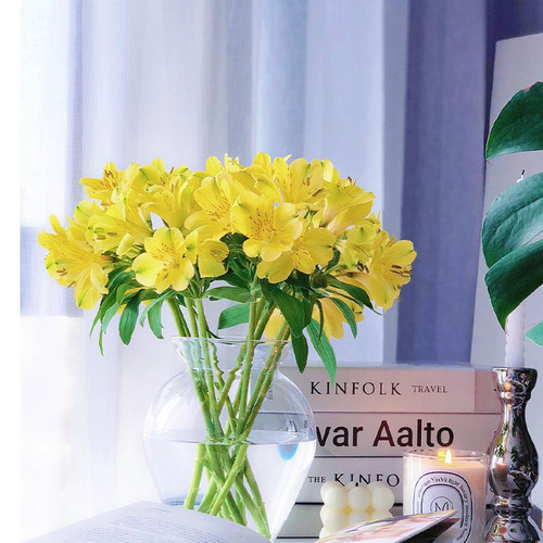 花然严品水仙百合鲜花云南直发鲜切花六出花粉色家用插花超长花期 - 图2