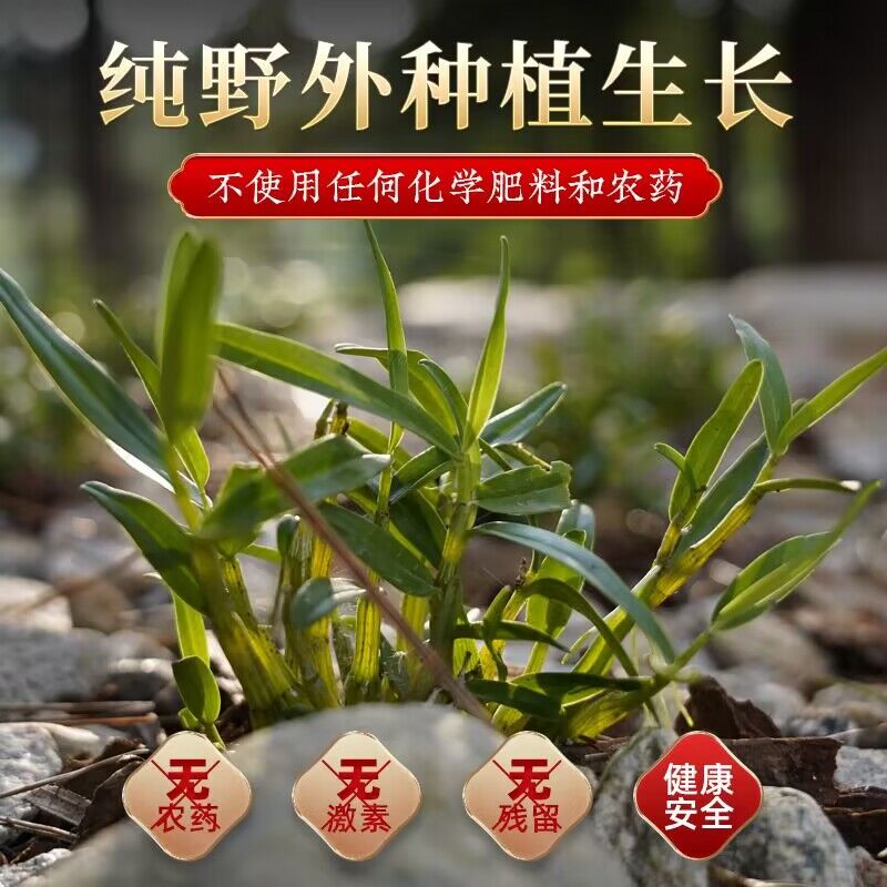 买二正品霍山米斛特级龙头凤尾铁皮 衡真堂石斛/枫斗