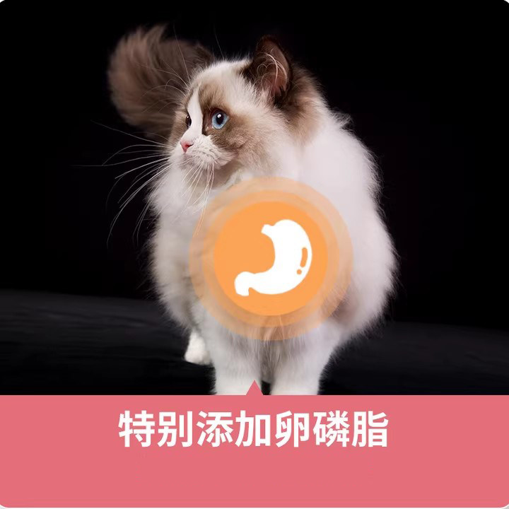 爱丽友猫条50支整箱幼猫营养零食试吃成猫猫咪零食补水,淘宝优惠券,粉丝福利购,淘宝优惠卷