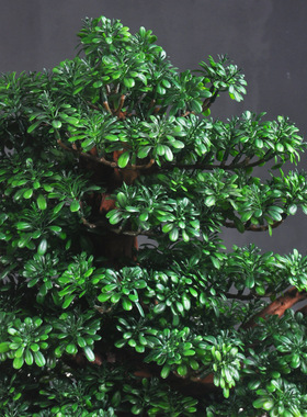 新中式迎客松摆件客厅玄关装饰大型仿真罗汉松盆景禅意办公室家居