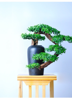新中式家居盆景仿真迎客松罗汉松根雕摆件客厅电视柜玄关柜装饰品