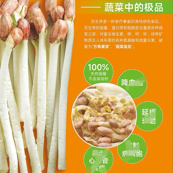 【产地】现摘花生芽苗菜新鲜花生豆芽食用花生苗芽菜饭店商用食材 - 图1