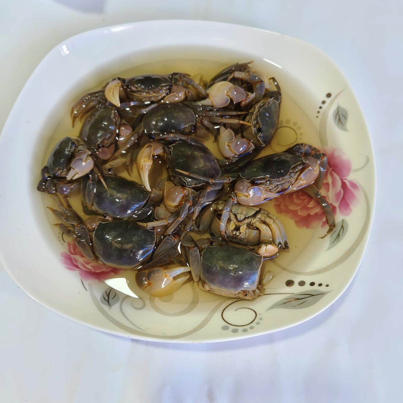 醉蟹白玉蟹生腌小螃蟹发财蟹即食腌制海鲜宁波特产呛蟹醉螃蜞,淘宝优惠券,粉丝福利购,淘宝优惠卷