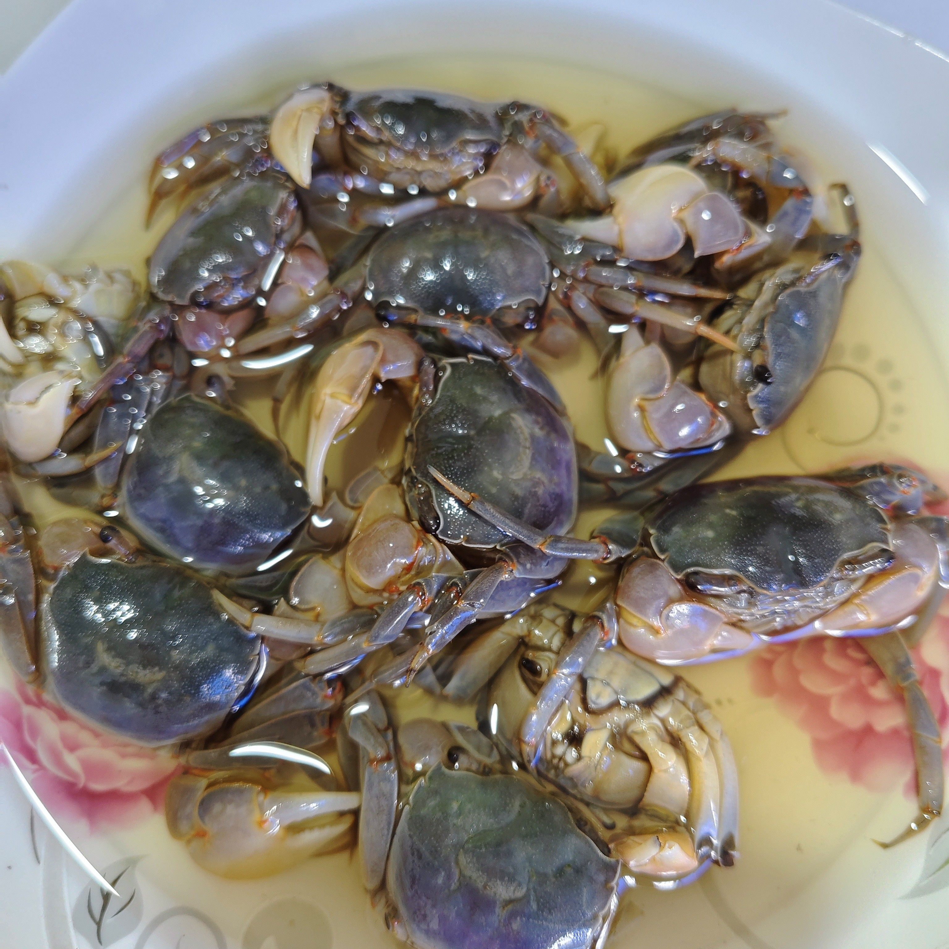 醉蟹白玉蟹生腌小螃蟹发财蟹即食腌制海鲜宁波特产呛蟹醉螃蜞,淘宝优惠券,粉丝福利购,淘宝优惠卷