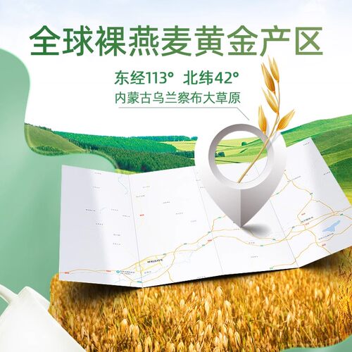 阴山优麦纯燕麦片桶装袋装绿色食品裸燕麦富含膳食纤维冲泡即食 - 图2