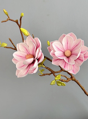 仿真花玉兰花3D胶片霸王玉兰