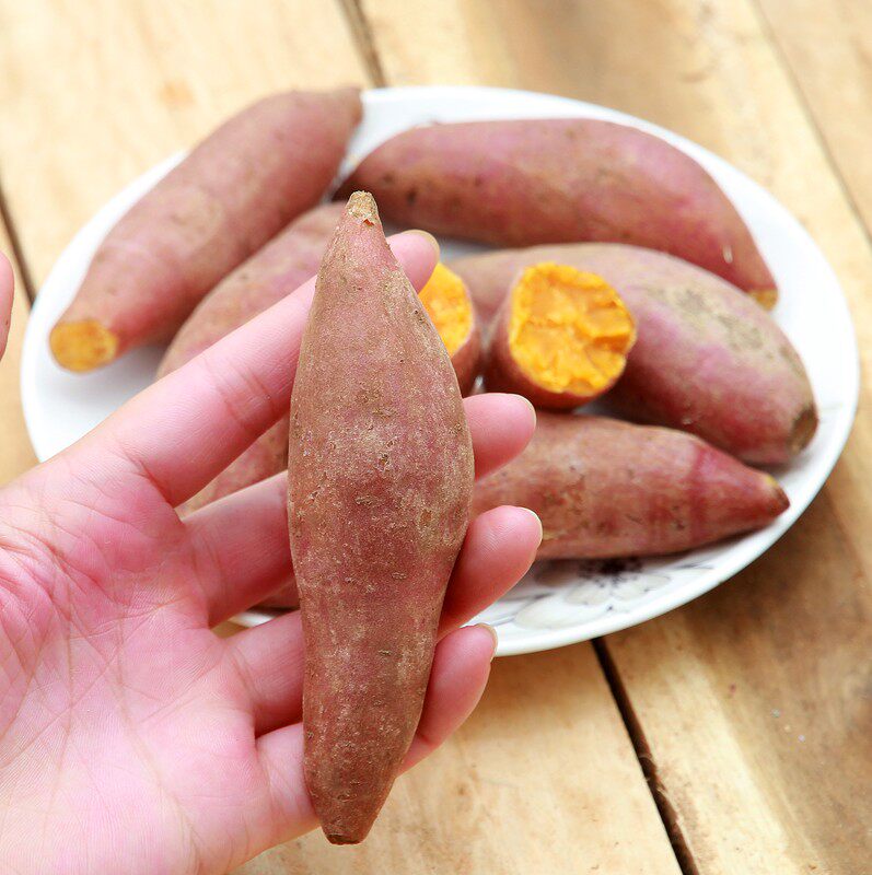 农家新鲜板粟小红薯香薯沙地地瓜 悦界食品番薯