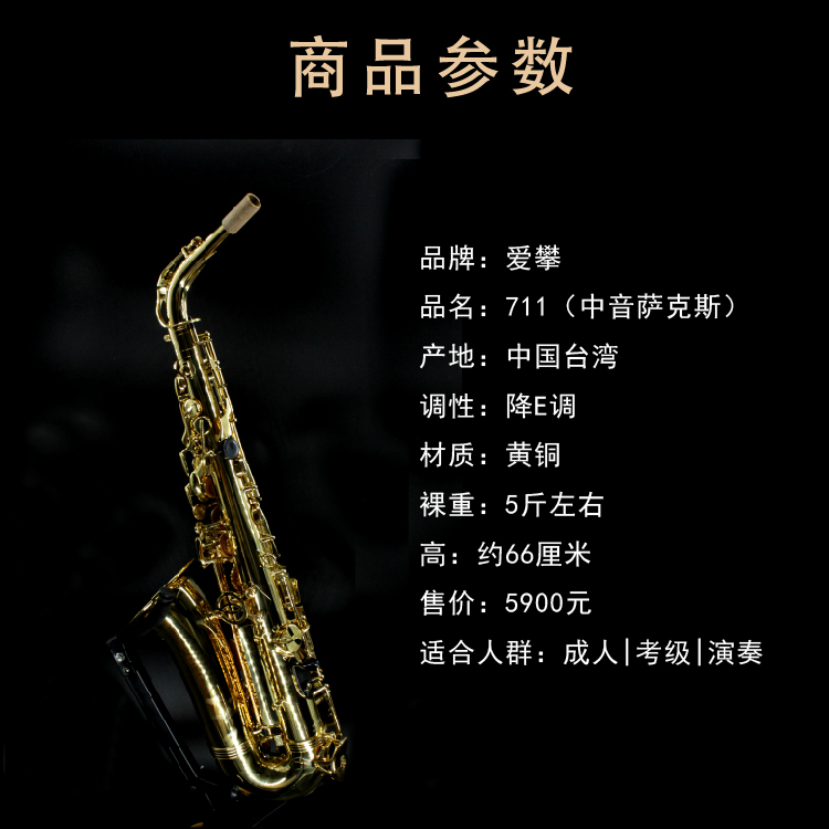 王晓楠老师强力推荐 E711 爱攀降 Alpine 美国 大众萨克斯推荐 王晓楠老师强力推荐 E711 爱攀降 Alpine 美国 大众萨克斯推荐
