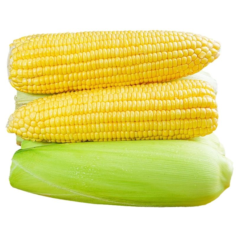 新鲜水果玉米5斤甜嫩玉米现摘爆浆牛奶生的玉米棒子黄金蔬菜包邮9,淘宝优惠券,粉丝福利购,淘宝优惠卷