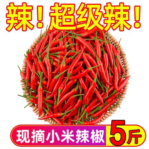 小米辣椒新鲜5斤特辣小米椒朝天椒超辣薄皮土红辣椒指天椒红尖椒3 - 图1