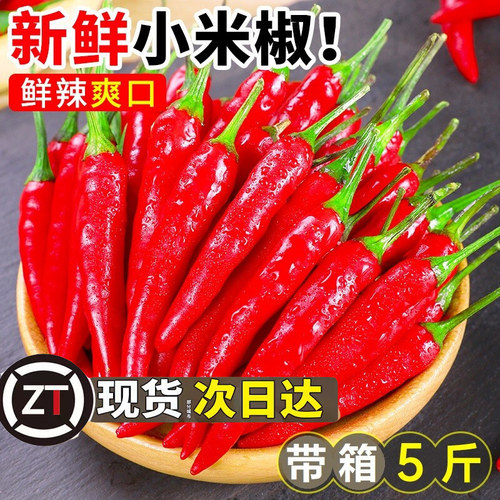 小米辣椒新鲜5斤特辣小米椒朝天椒超辣薄皮土红辣椒指天椒红尖椒3 - 图0