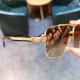 Fashionable UV protection sunglasses
