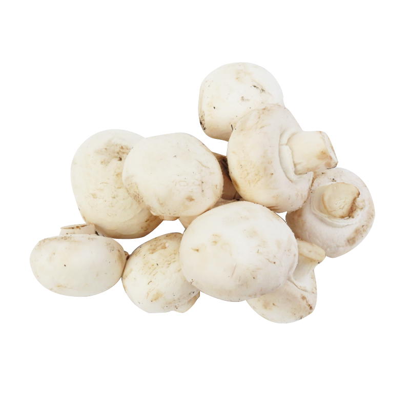 【沁蕊】口蘑新鲜食用菌鲜白蘑菇口菇双孢菇 400g_虎窝淘