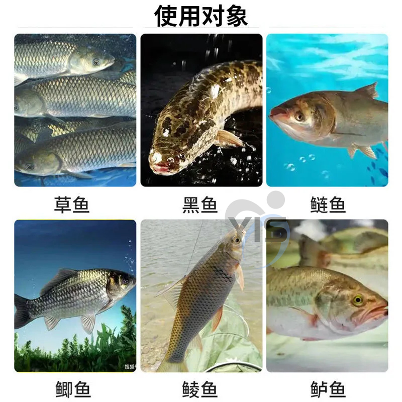 渔虫清水产养殖杀小瓜虫白点病鱼塘虫病虫药淡水鱼水产观赏鱼专用 - 图2