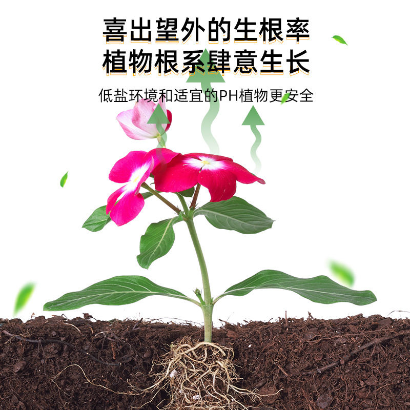 花土椰砖营养土椰土壤椰糠粗椰壳种花养花种菜肥料种植多肉宠物爬