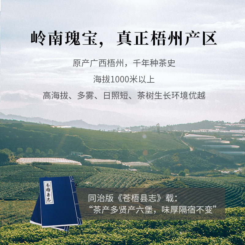 中茶六堡茶六年陈化特级窖藏六堡黑茶7002箩茶品鉴装200g茶叶散茶 - 图2