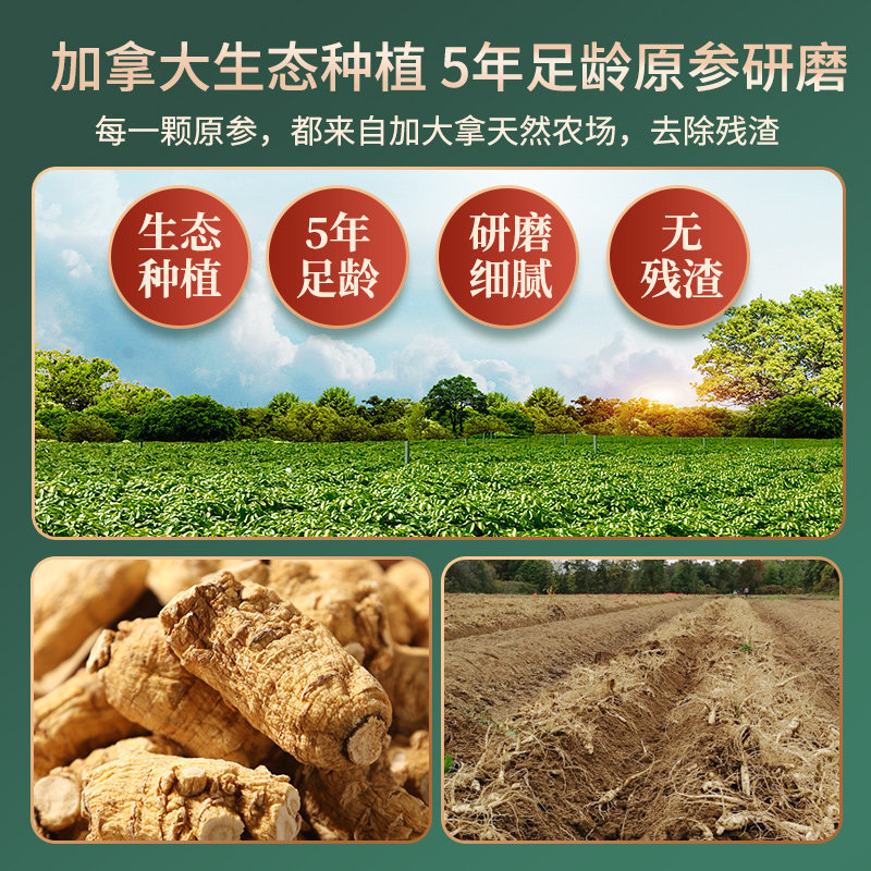 买5送1加拿大进口人参粉西洋参粉 安大叔西洋参